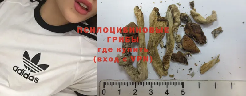 Псилоцибиновые грибы MAGIC MUSHROOMS  Еманжелинск 